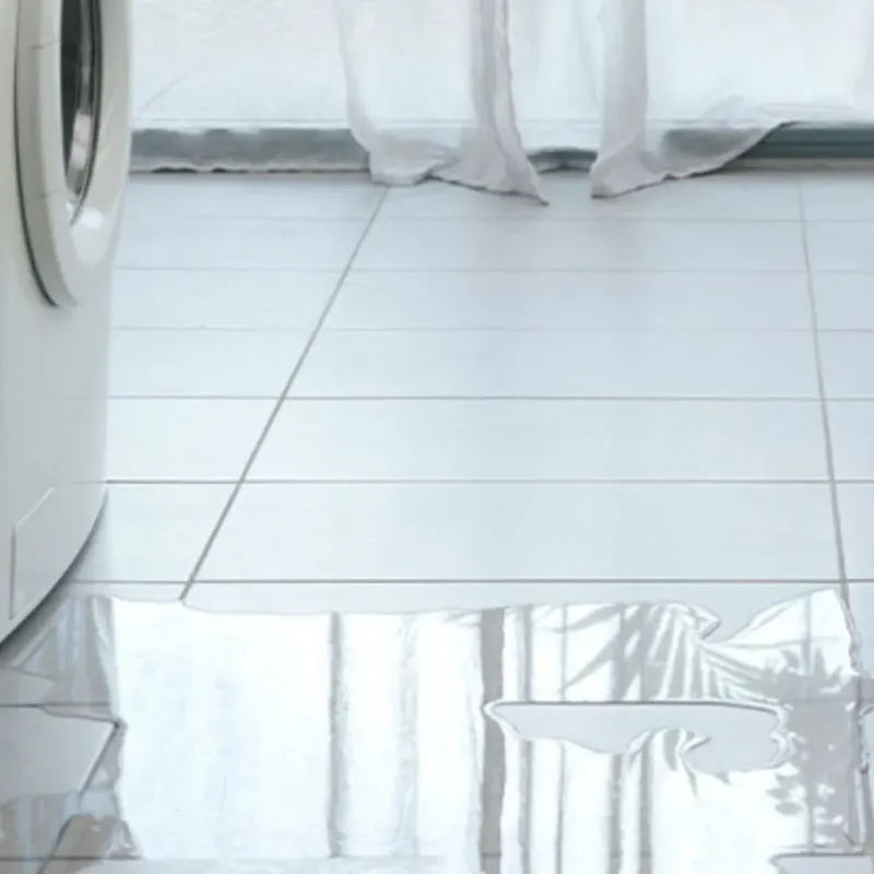 Appliance Leak Cleanup in Winchester Center, CT