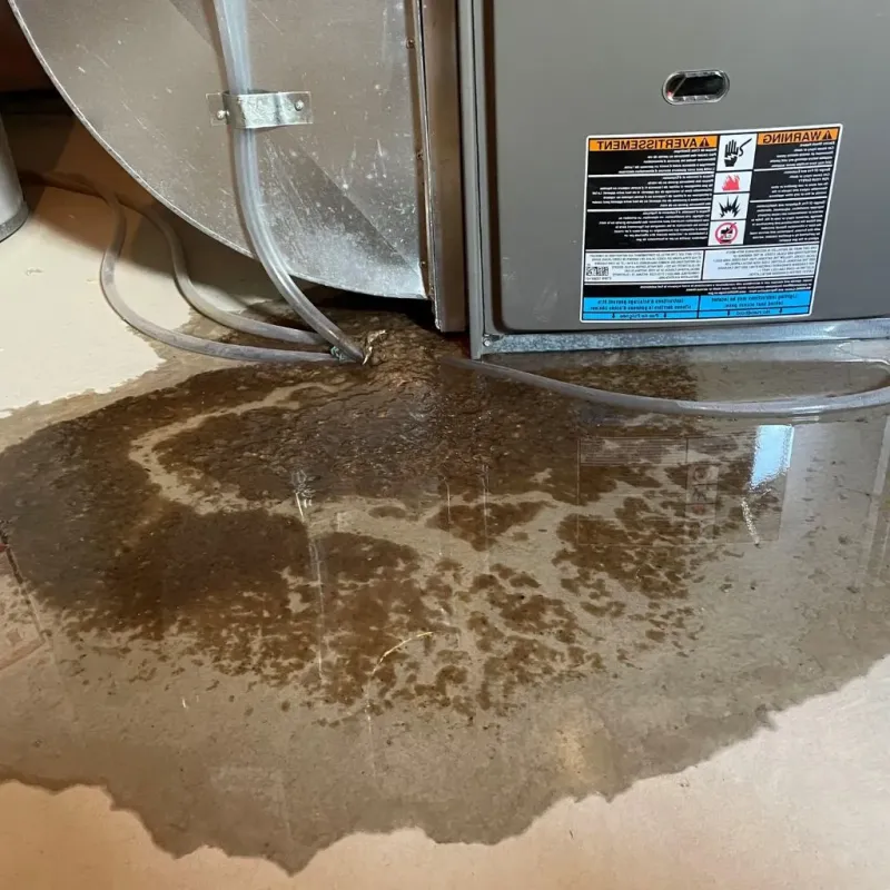 Pipe Burst and Leak Restoration in Winchester Center, CT